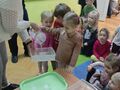 IMG20240201105142
