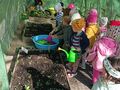 IMG20240411101529