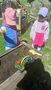 IMG20240508105642