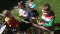 IMG20240508105936
