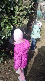 IMG20260311101733