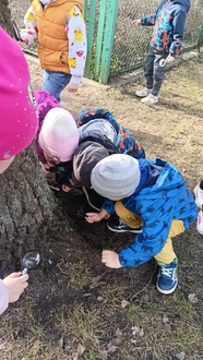 IMG20260311102058