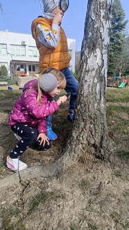 IMG20260311102244