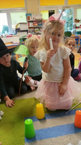 IMG20241129093307